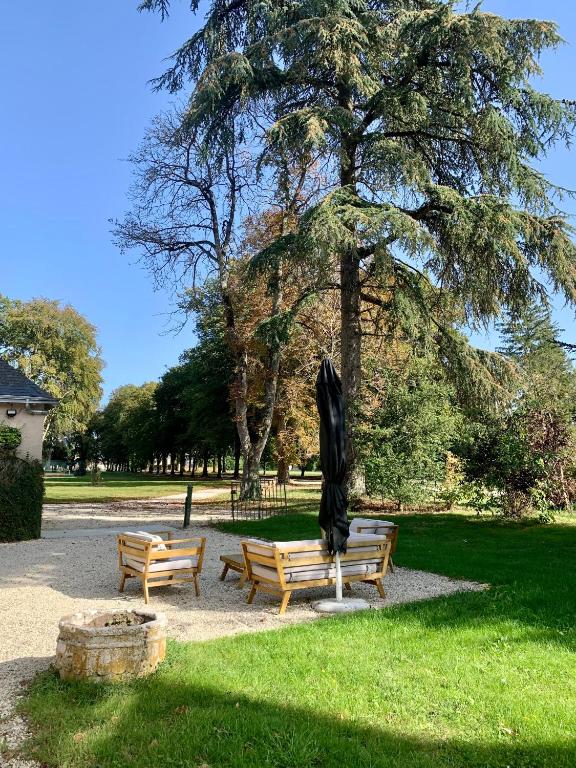Gîte L'Orangerie au Château & Domaine de Lafayette en Touraine